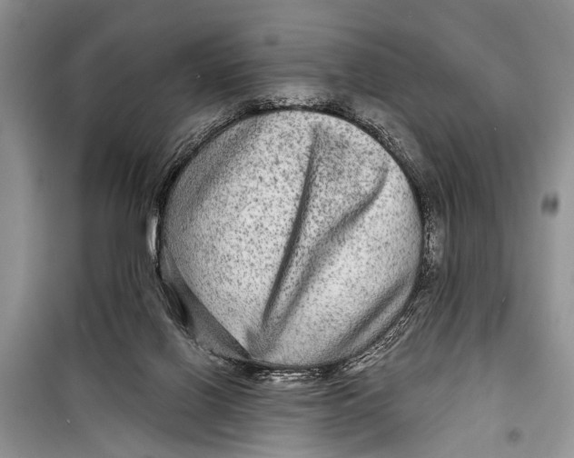 X0000098170070200805151127