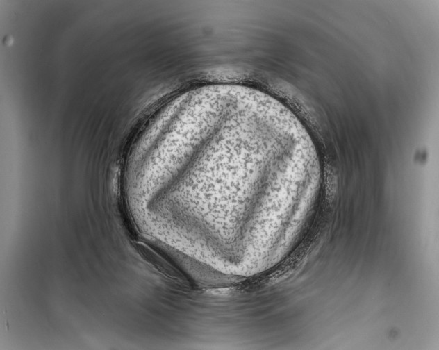 X0000098170071200805151127