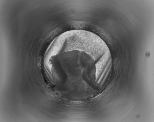 X0000098170073200805151127