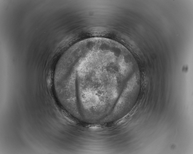 X0000098170074200805151127