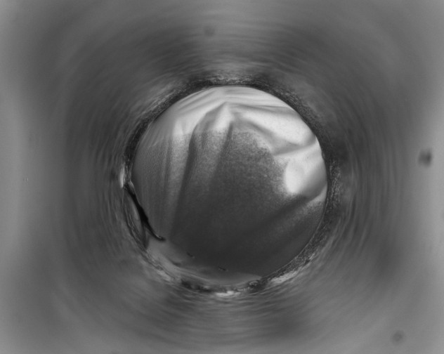 X0000098170076200805151127