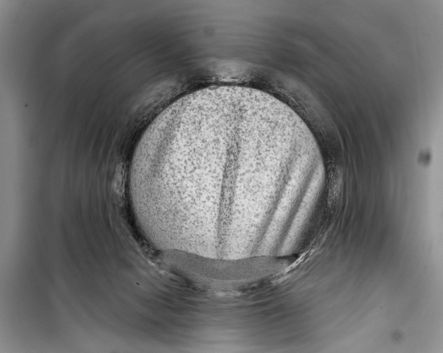 X0000098170078200805151127