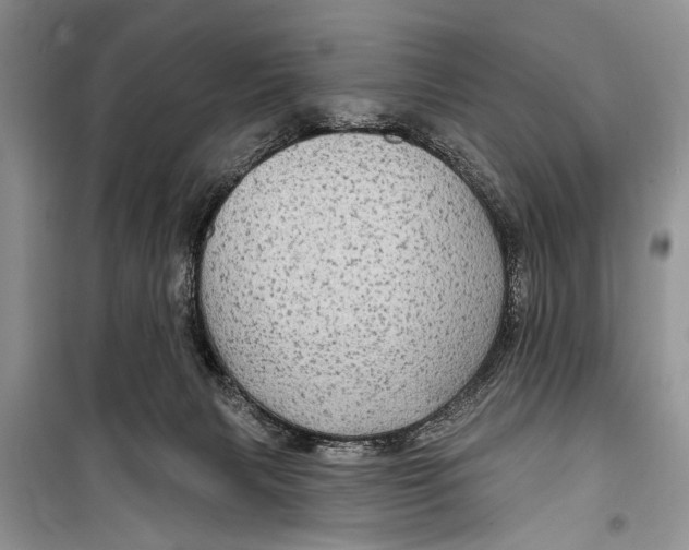 X0000098170079200805151127