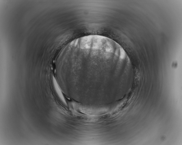 X0000098170080200805151127