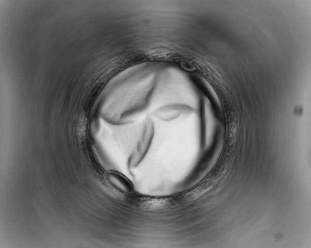 X0000098170081200805151127