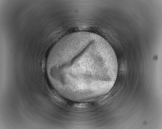 X0000098170082200805151127