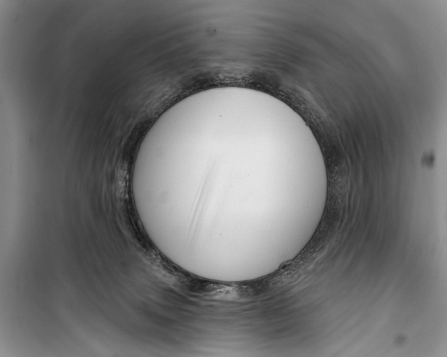 X0000098170083200805151127