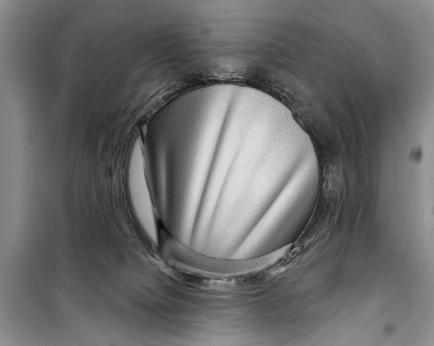 X0000098170084200805151127