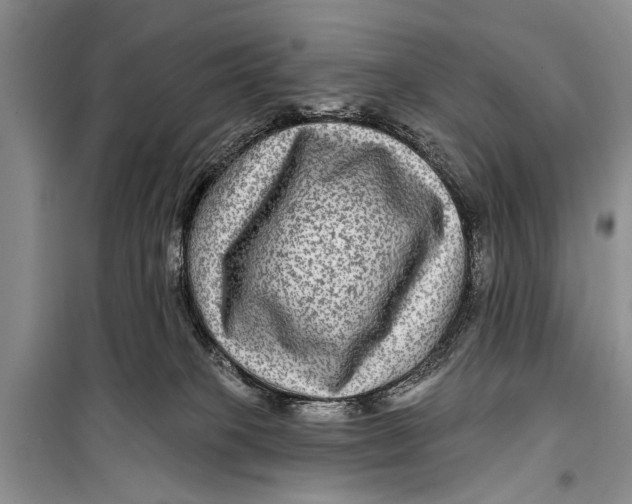 X0000098170085200805151127