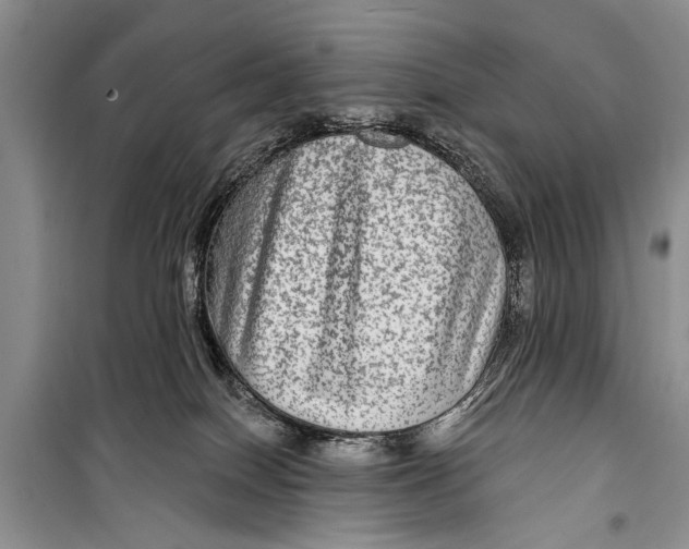 X0000098170086200805151127