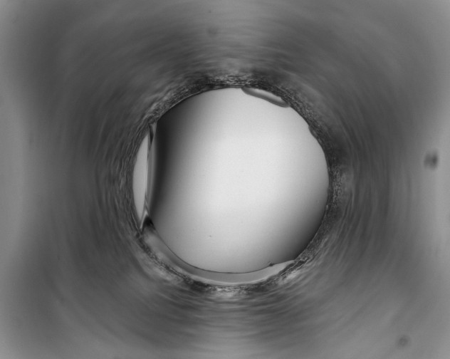 X0000098170088200805151127