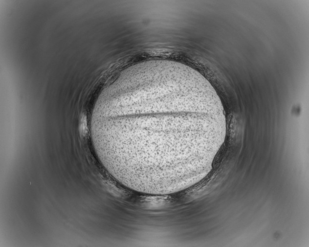 X0000098170089200805151127