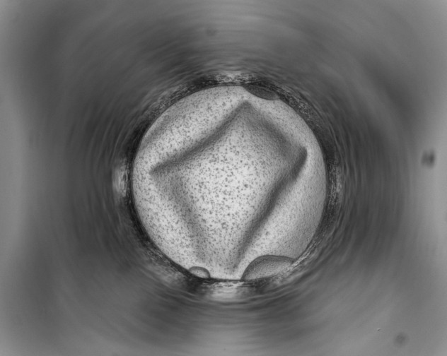 X0000098170090200805151127