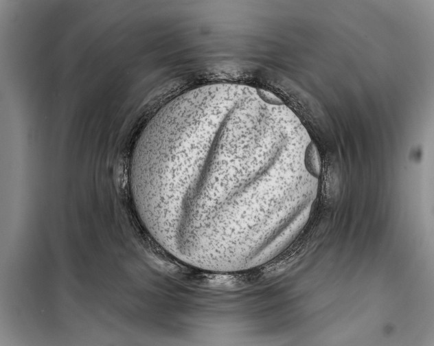 X0000098170091200805151127