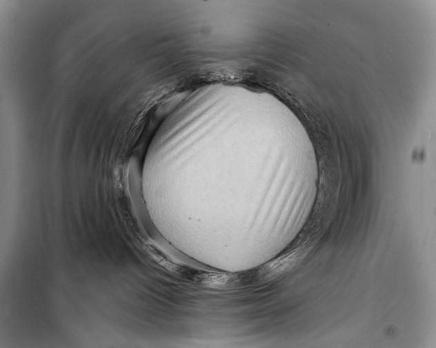 X0000098170096200805151127