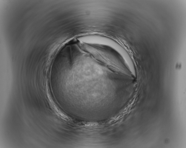 X0000098170097200805151126