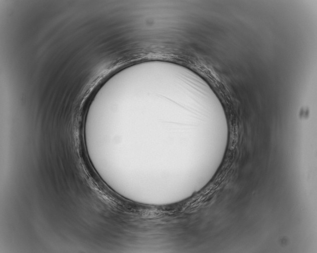 X0000098170098200805151126