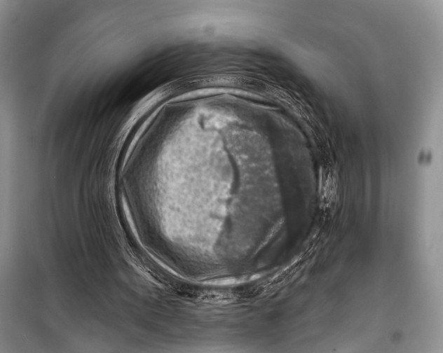 X0000098170099200805151126