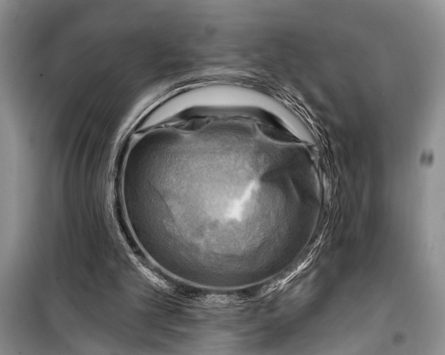 X0000098170101200805151126