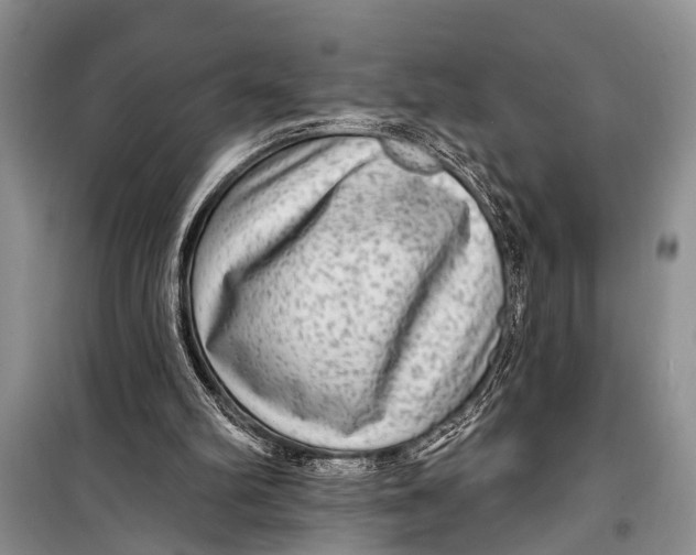 X0000098170102200805151126