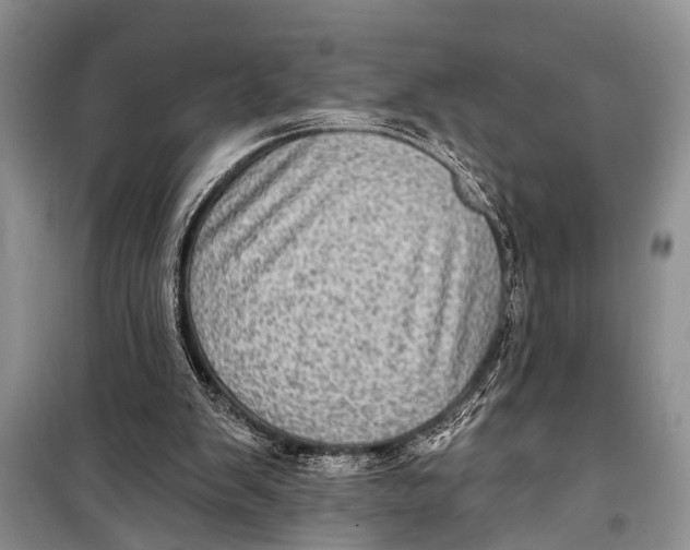 X0000098170103200805151126