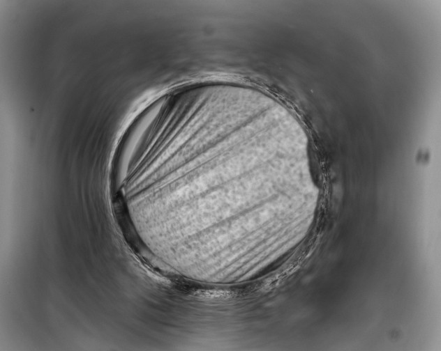 X0000098170104200805151126