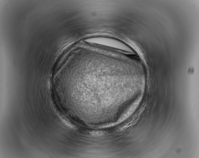 X0000098170105200805151126