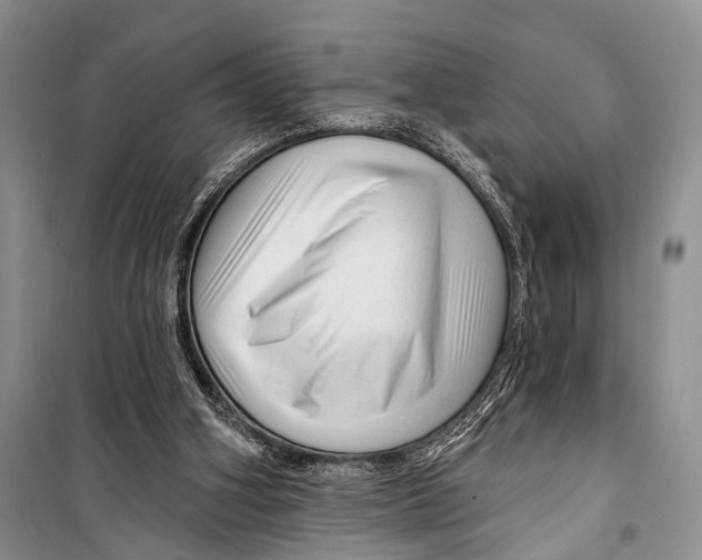 X0000098170106200805151126