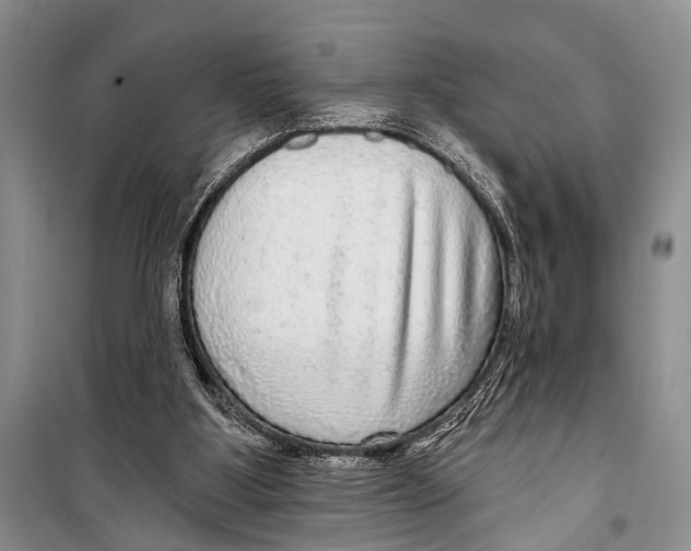 X0000098170107200805151126