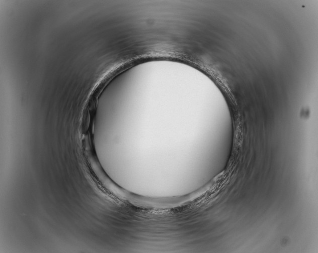 X0000098170108200805151126