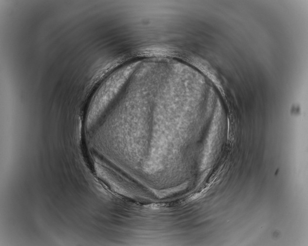 X0000098170109200805151126