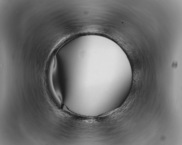 X0000098170112200805151126