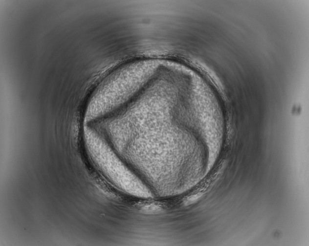 X0000098170113200805151126