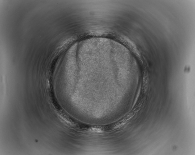 X0000098170114200805151126