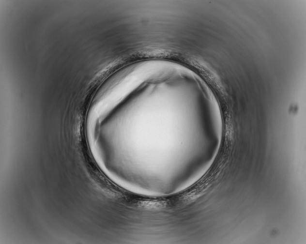 X0000098170115200805151126