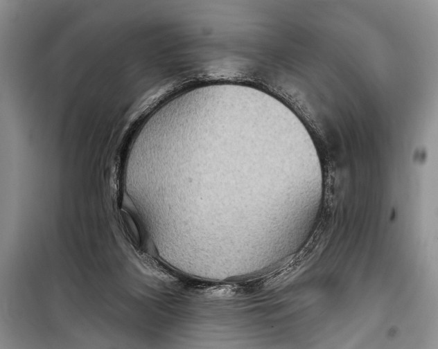 X0000098170116200805151126