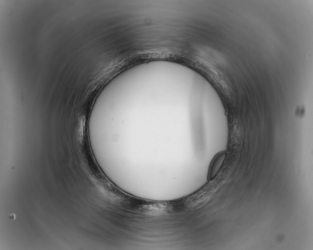 X0000098170118200805151126