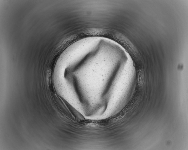 X0000098170119200805151126