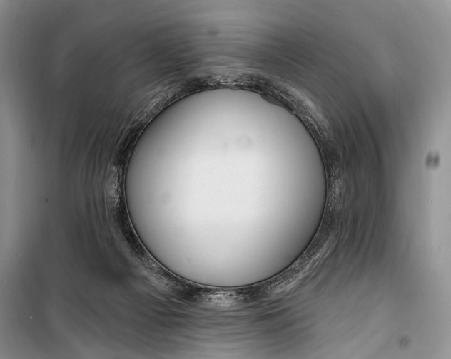 X0000098170121200805151126