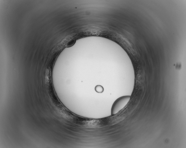 X0000098170122200805151126