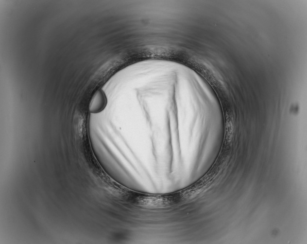 X0000098170123200805151126