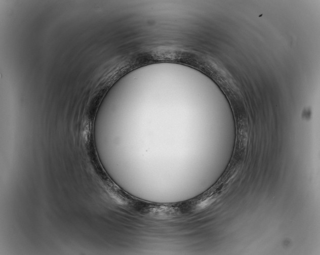 X0000098170125200805151126