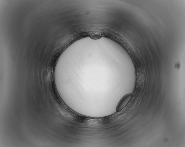 X0000098170126200805151126