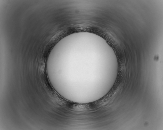 X0000098170129200805151126