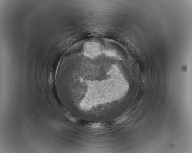 X0000098170130200805151126