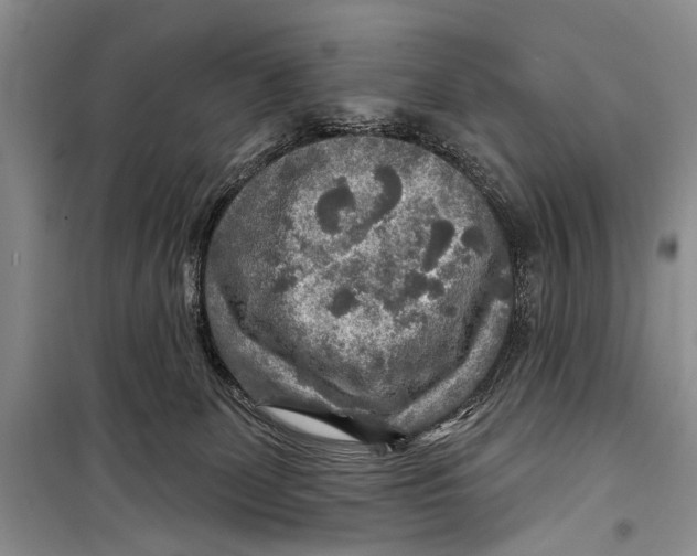 X0000098170131200805151126