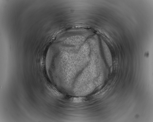 X0000098170134200805151126