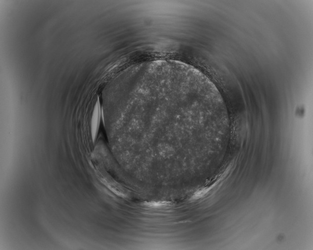 X0000098170137200805151126