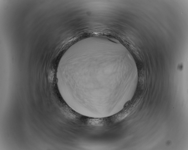 X0000098170139200805151126