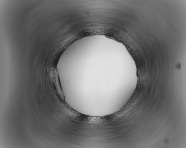 X0000098170141200805151126